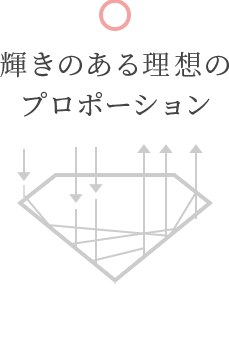 輝きのある理想のプロポーション